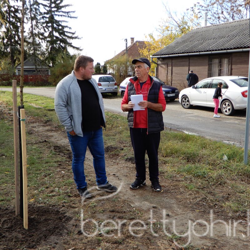Közösségi faültetés Berettyóújfaluban 82
